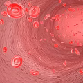 Medical Devices for Visualizing Red Blood Cells Flow in Blood Vessel Interior