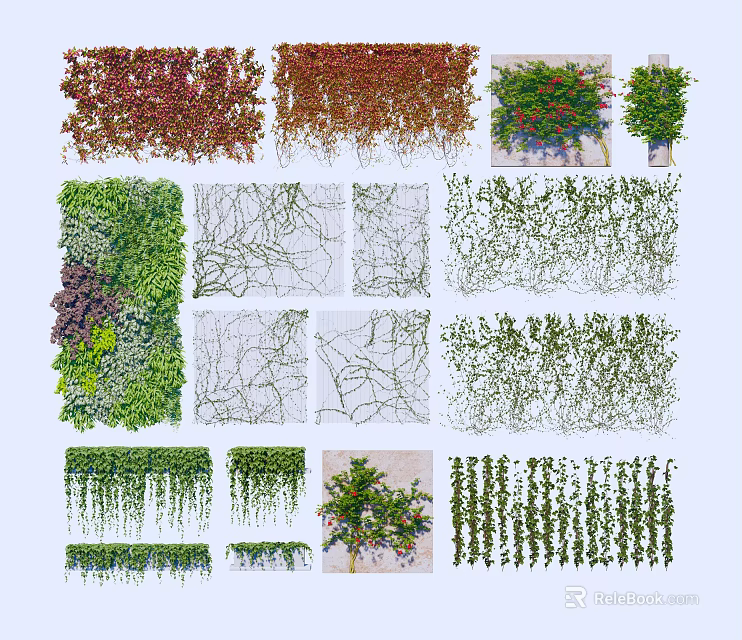 Various Green Red Hanging Climbing Vines For Wall Decoration And Garden Landscaping 3d model 