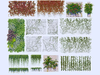 Various Green Red Hanging Climbing Vines For Wall Decoration And Garden Landscaping 3d model