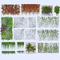 Various Green Red Hanging Climbing Vines For Wall Decoration And Garden Landscaping