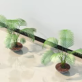 Bonsai Potted Plants With Lush Green Tropical Leaves On Indoor Tile Floor Against White Wall