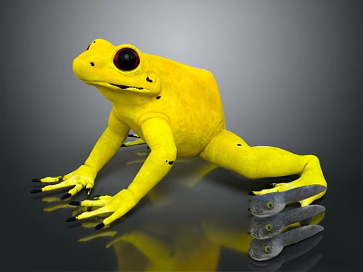 Yellow Frog With Black Eyes And Spots On Dark Reflective Surface 3d model
