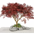Red Leaf Tree With Stone Base And Green Plants On Woven Mat