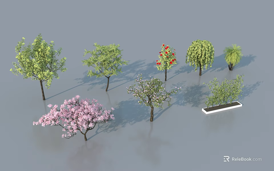 Diverse Arbor Varieties with Different Foliage and Flowering Features for Landscape Design 3d model 