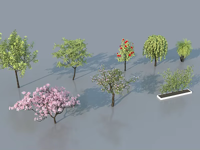 Diverse Arbor Varieties with Different Foliage and Flowering Features for Landscape Design 3d model