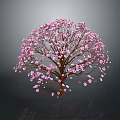 Beautiful Tree Adorned With Pink Blossoms Against Dark Background With Reflection