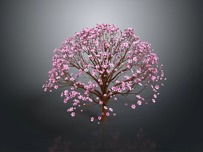 Beautiful Tree Adorned With Pink Blossoms Against Dark Background With Reflection 3d model