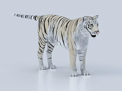 White Reptile With Black Stripes Standing On Plain White Background 3d model White Reptile With Black Stripes Standing On Plain White Background 3d model