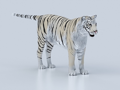 Modern Tiger White Tiger 3d model