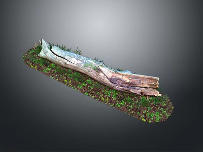 Rustic Wooden Log Decorative Piece With Green Moss And Grass Accents 3d model