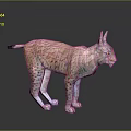 Realistic Spotted Lynx With Pointed Ears Standing On Reflective Gray Surface 3d model