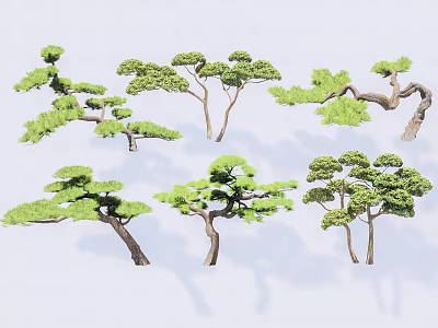 Different Types Of Arbor Trees With Unique Canopy Shapes And Lush Foliage 3d model