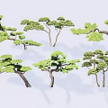 Different Types Of Arbor Trees With Unique Canopy Shapes And Lush Foliage