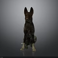German Shepherd 3D Model Sitting with Brown Black Fur and Erect Ears on Gray Background