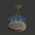 Small Green Tree Growing In Blue Water Container With Brown Base