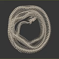 Intricate Spiral Skeletal Structure Of Biological Organ With Natural Hair Elements In Circular Coiled Design
