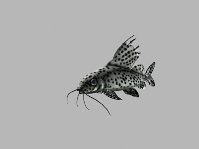 Tropical Fish Modern Fish 3d model