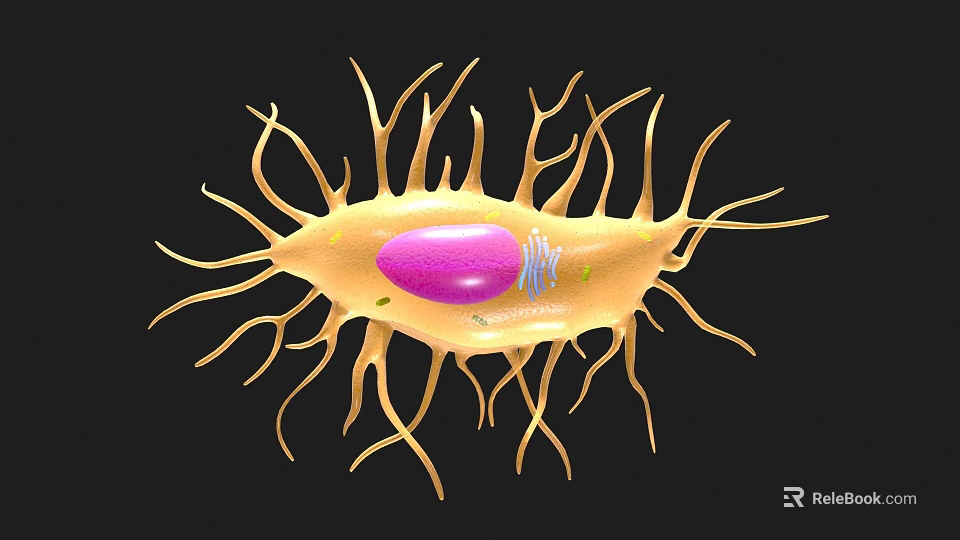 3D Cell Structure Visualization Medical Device With Yellow Cell Body Purple Nucleus And Protrusions 3d model 