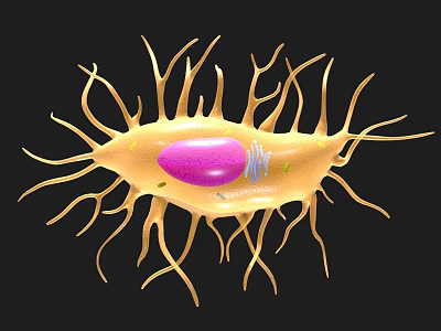 3D Cell Structure Visualization Medical Device With Yellow Cell Body Purple Nucleus And Protrusions 3d model