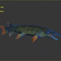 3D Model of Ferocious Fish With Long Snout Sharp Teeth Green Body and Orange Fins