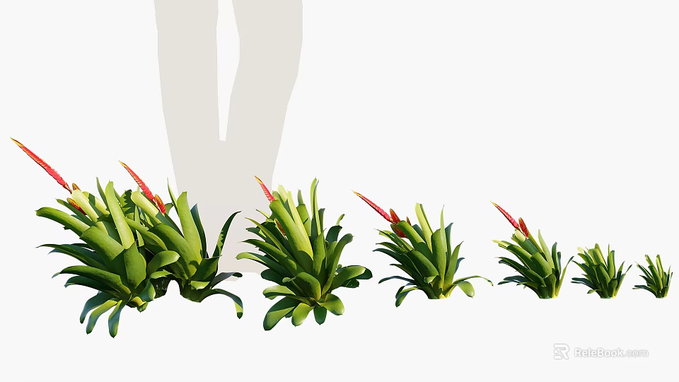 Decorative Green Leafy Plants With Red Blooms In Various Sizes For Garden 3d model 