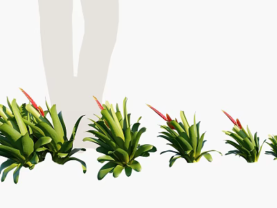 Decorative Green Leafy Plants With Red Blooms In Various Sizes For Garden 3d model