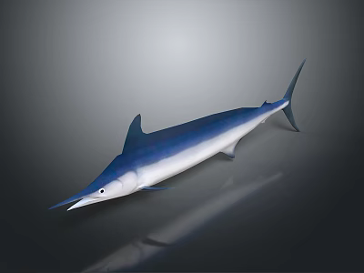 Blue And White Swordfish With Streamlined Body Long Bill And Dorsal Fin 3d model