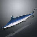 Blue And White Swordfish With Streamlined Body Long Bill And Dorsal Fin