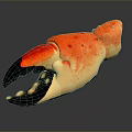 Orange Crab Claw With Black Tips And Red Spots On Gray Background With Reflection 3d model