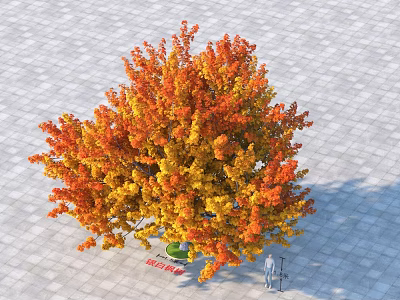 Outdoor Deciduous Tree with Lush Orange Yellow Leaves on Paved Stone Ground and Small Figure 3d model