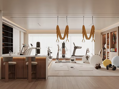 Modern Home Gym With Various Fitness Equipment And Bar Area 3d model