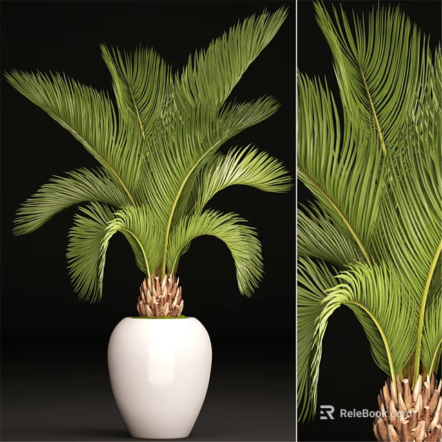 Green Palm Leaf Decorative Ornament Set With White Ceramic Pot For Home Decor 3d model 