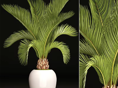 Green Palm Leaf Decorative Ornament Set With White Ceramic Pot For Home Decor 3d model