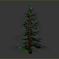 Tall Green Pine Tree With Brown Trunk And Lush Green Needles Isolated On Dark Background