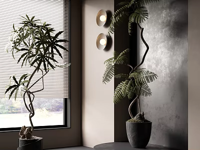 Bonsai Plants With Curved Branches By Window Blinds And Wall Lamps Against Gray Wall 3d model