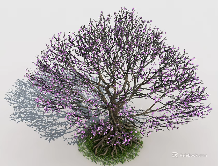 Lush Tree with Many Branches and Purple Small Flowers Surrounded by Green Grass at Base 3d model 