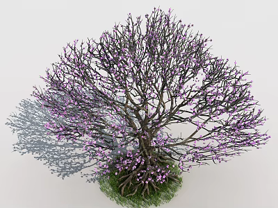 Lush Tree with Many Branches and Purple Small Flowers Surrounded by Green Grass at Base 3d model