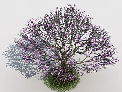 Lush Tree with Many Branches and Purple Small Flowers Surrounded by Green Grass at Base 3d model