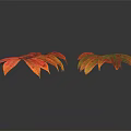 Vibrant Red and Yellow Autumn Leaves with Green Veins on Black Background