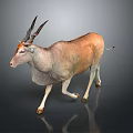 Graceful Light Brown Antelope With Long Horns On Dark Background 3d model