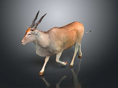 Graceful Light Brown Antelope With Long Horns On Dark Background 3d model