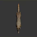 Realistic Wolf Standing Pose With Orange Brown Coat And White Belly On Dark Reflective Background