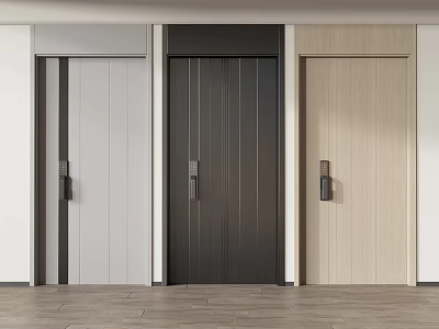 Modern Security Doors In Different Styles And Finishes 3d model