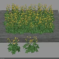 Square Stone Base Floral Display With Yellow Flowers Green Leaves And Small Plant Clusters