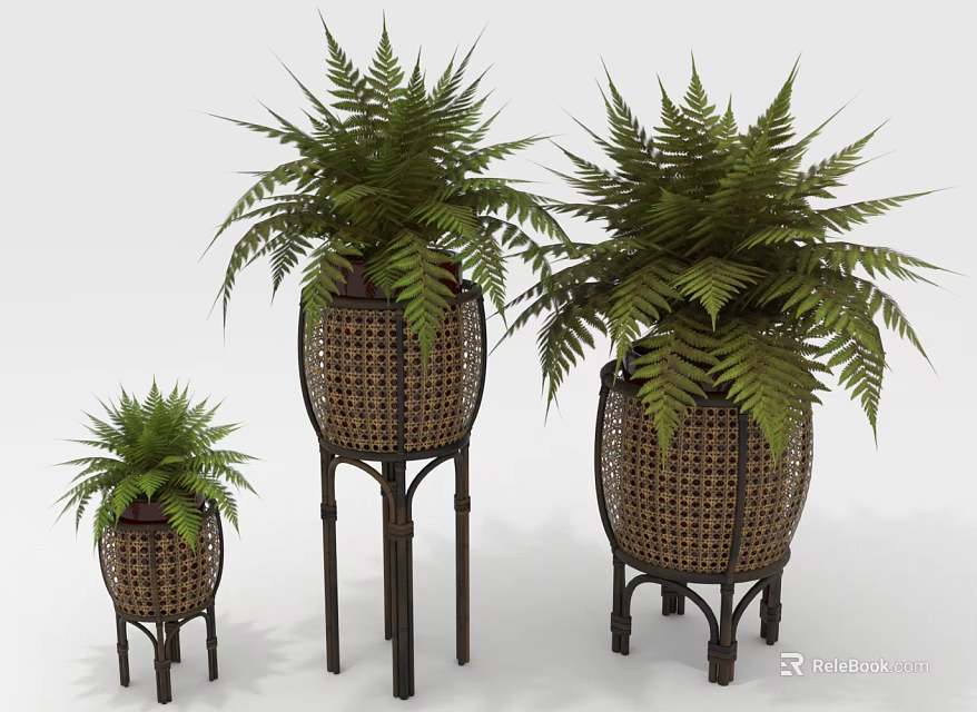Fern Plants in Woven Planters with Metal Stands of Different Heights 3d model 