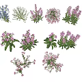 Colorful Assorted Flower and Plant Varieties with Various Blooms and Green Foliage