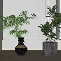Bonsai Potted Plants Long Leaves Broad Foliage Black Vase Gray Pot Bright Room White Blinds