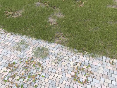 Lush Green Grass With Bare Spots Along Brick Pavement And Fallen Leaves 3d model