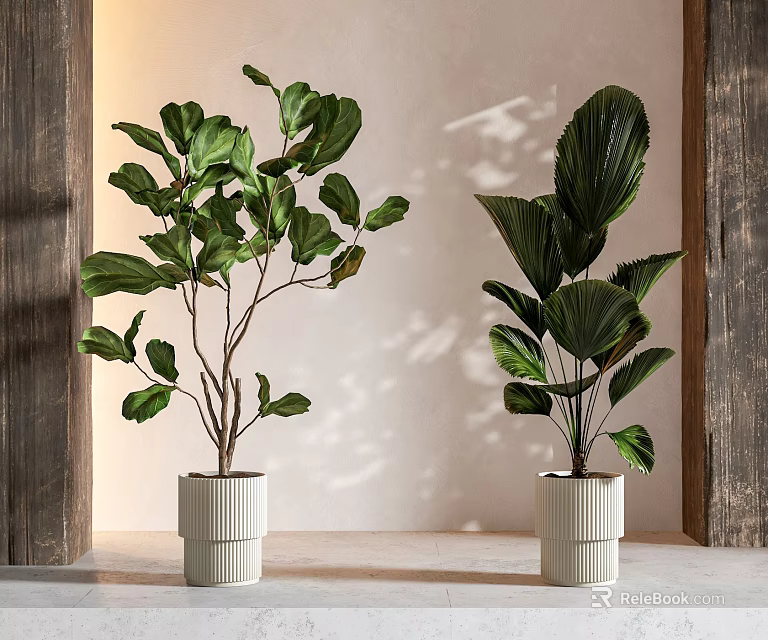 Large Leafy Potted Plants In White Ribbed Planters With Wooden Accents 3d model 