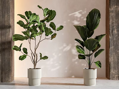 Large Leafy Potted Plants In White Ribbed Planters With Wooden Accents 3d model